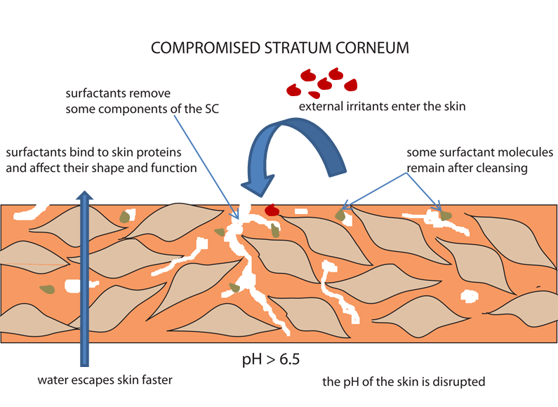 Disrupted stratum corneum